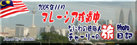 �Q�O�O�T�N�P�P���@�}���[�V�A�������@���s�ʐ^�W